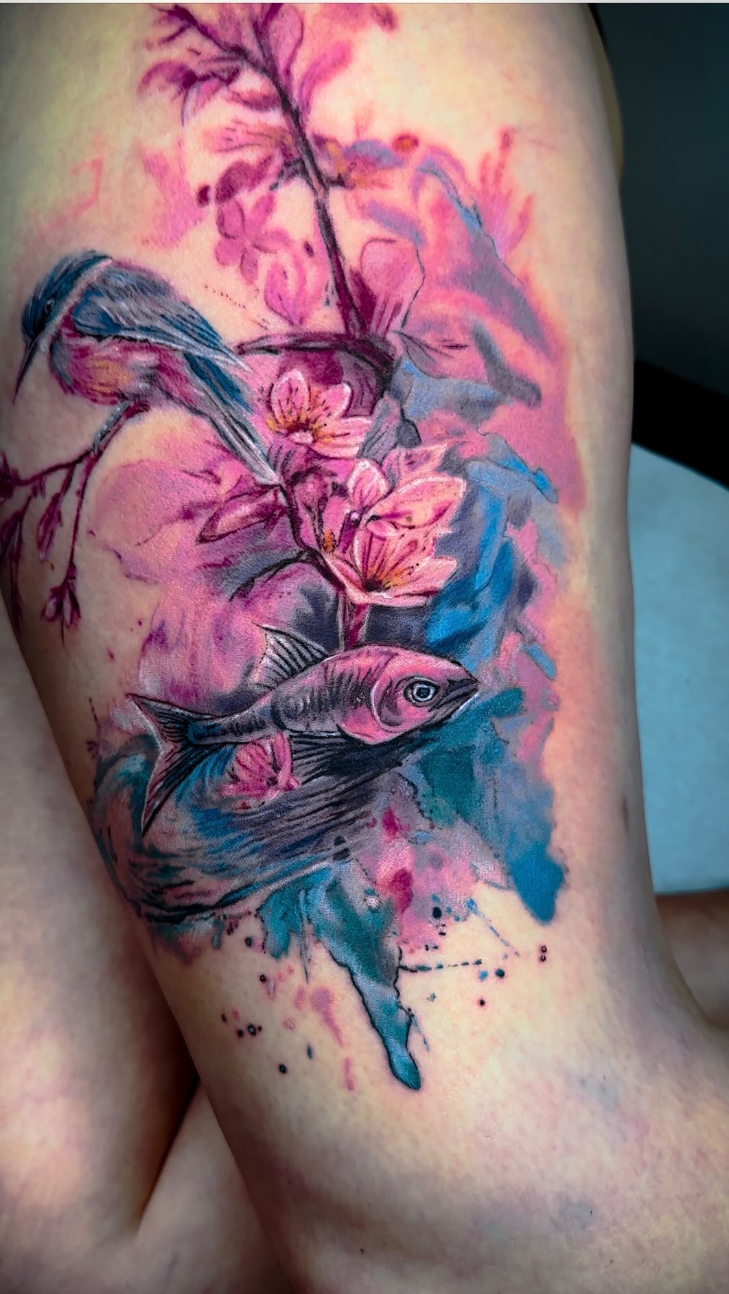 Portfolio de Coco Pivoine