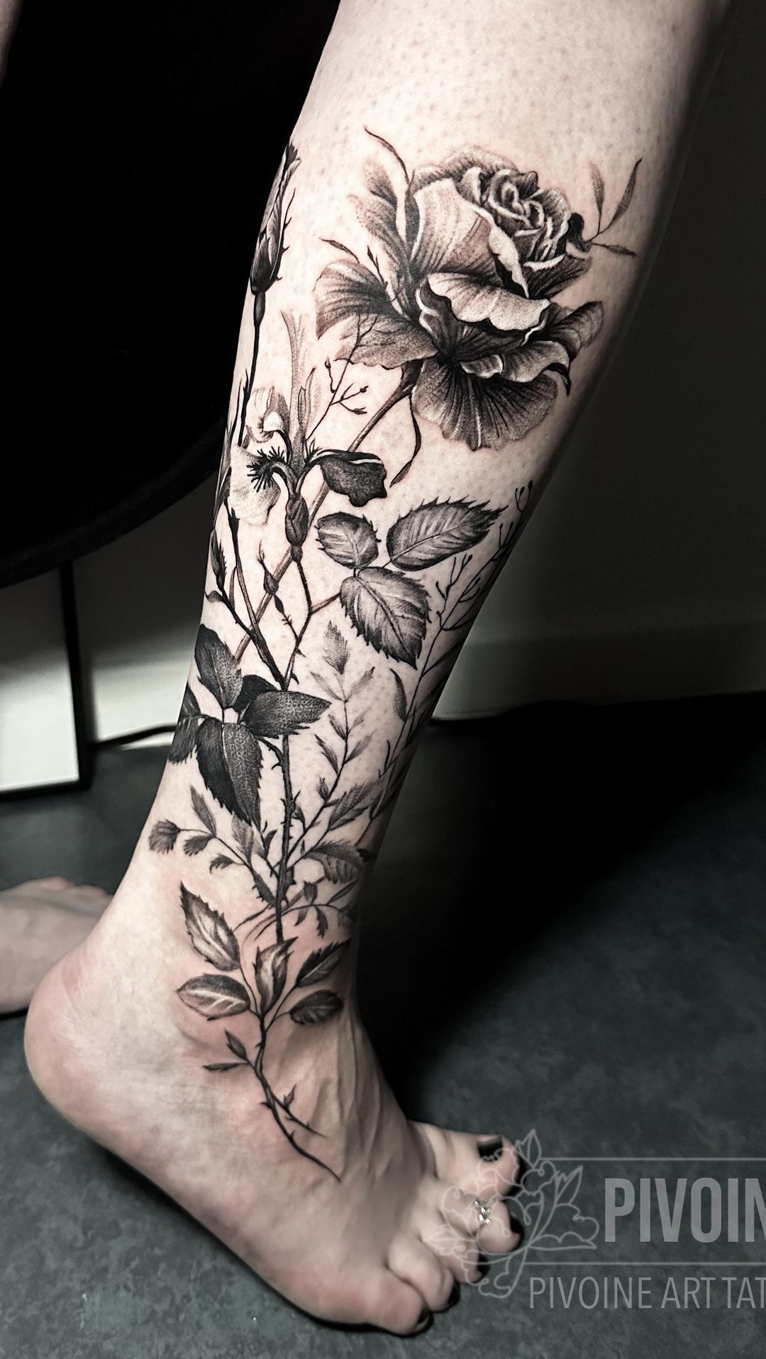 Portfolio de Coco Pivoine