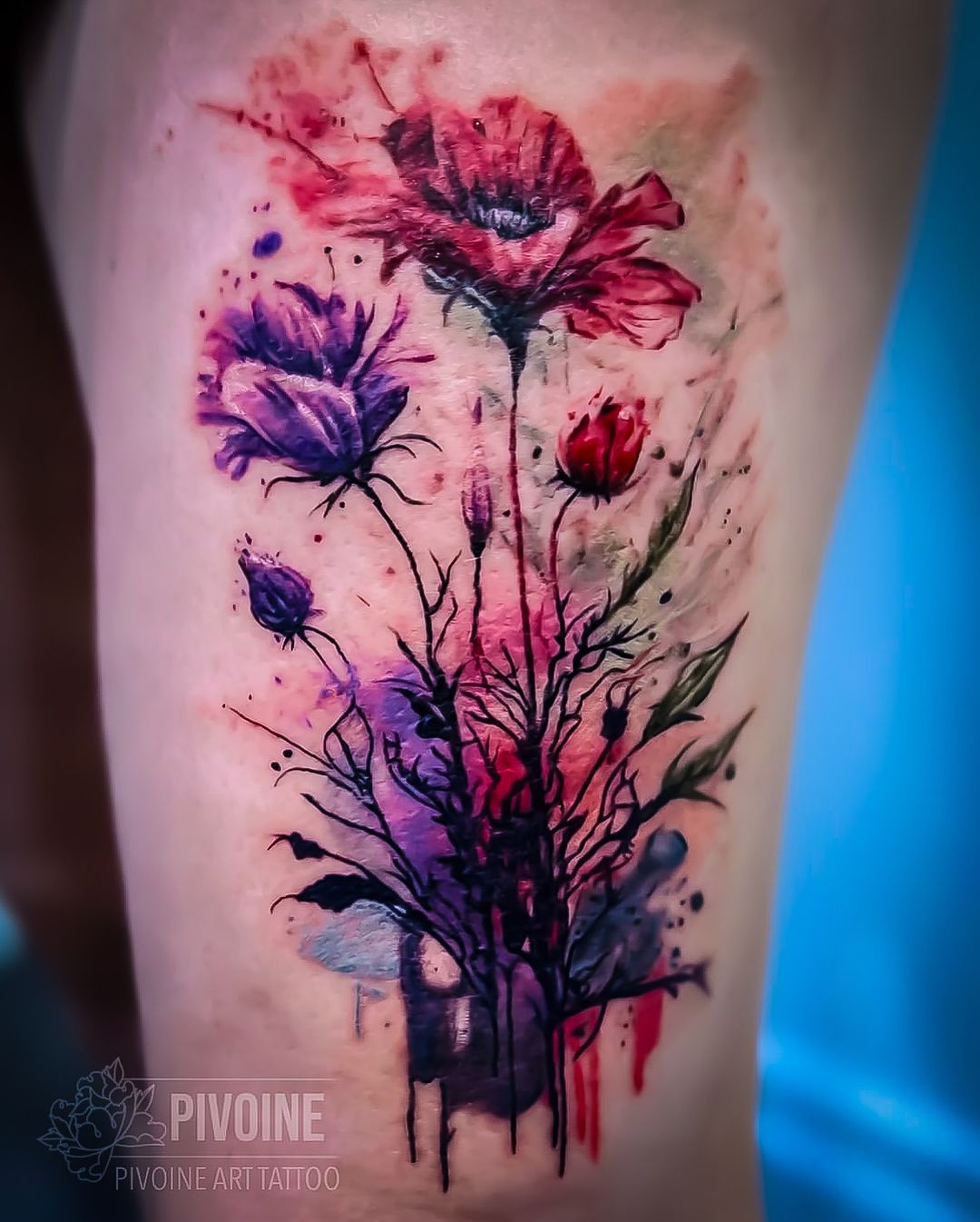 Portfolio de Coco Pivoine