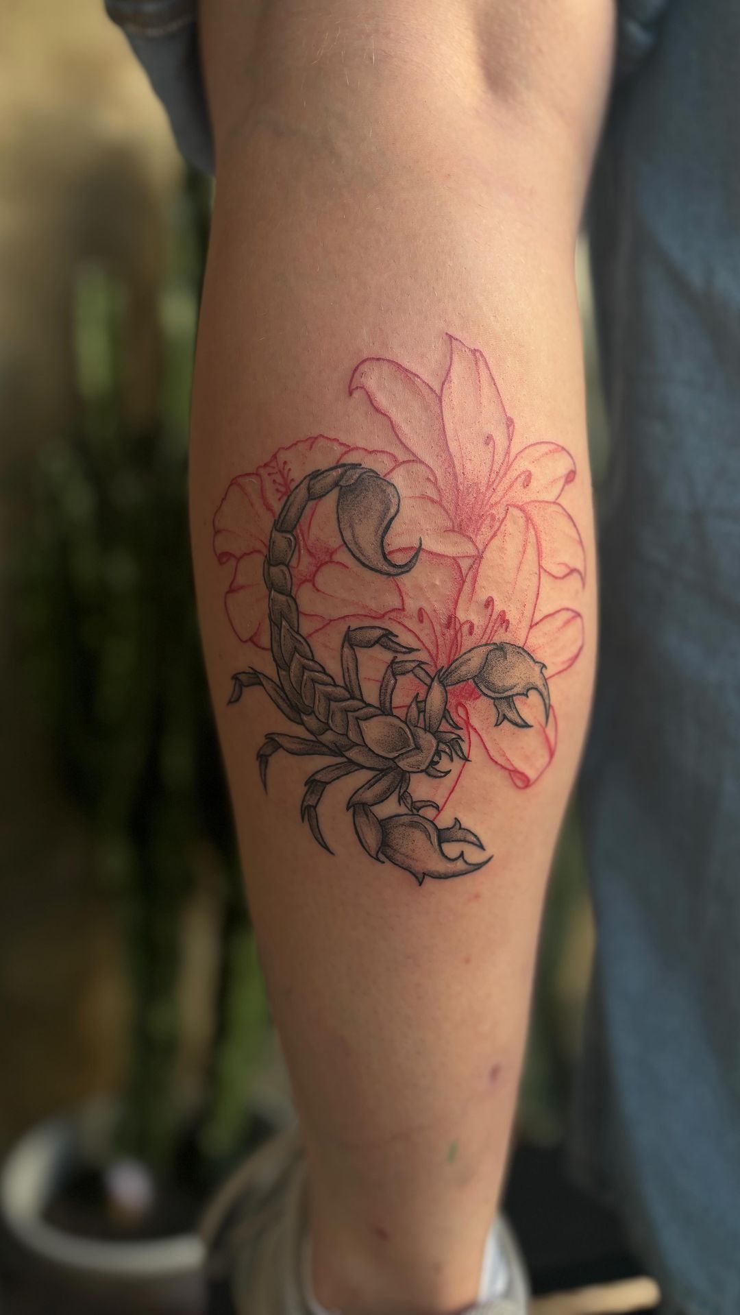 Portfolio de Laura 祝 Tattoo Montpellier