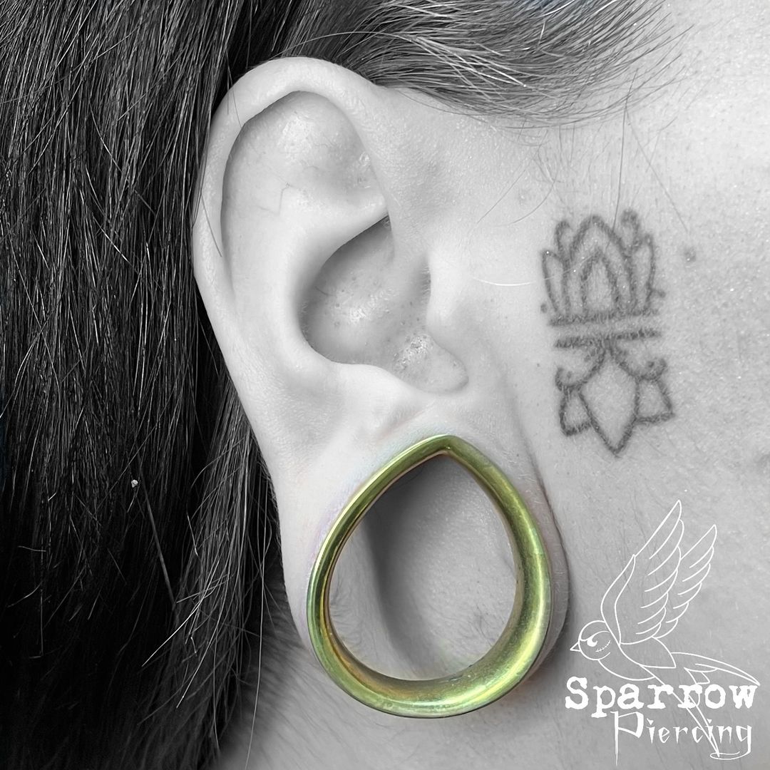 Portfolio de Sparrow