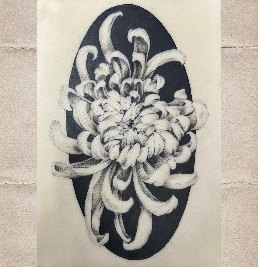Portfolio de Emily Fulton