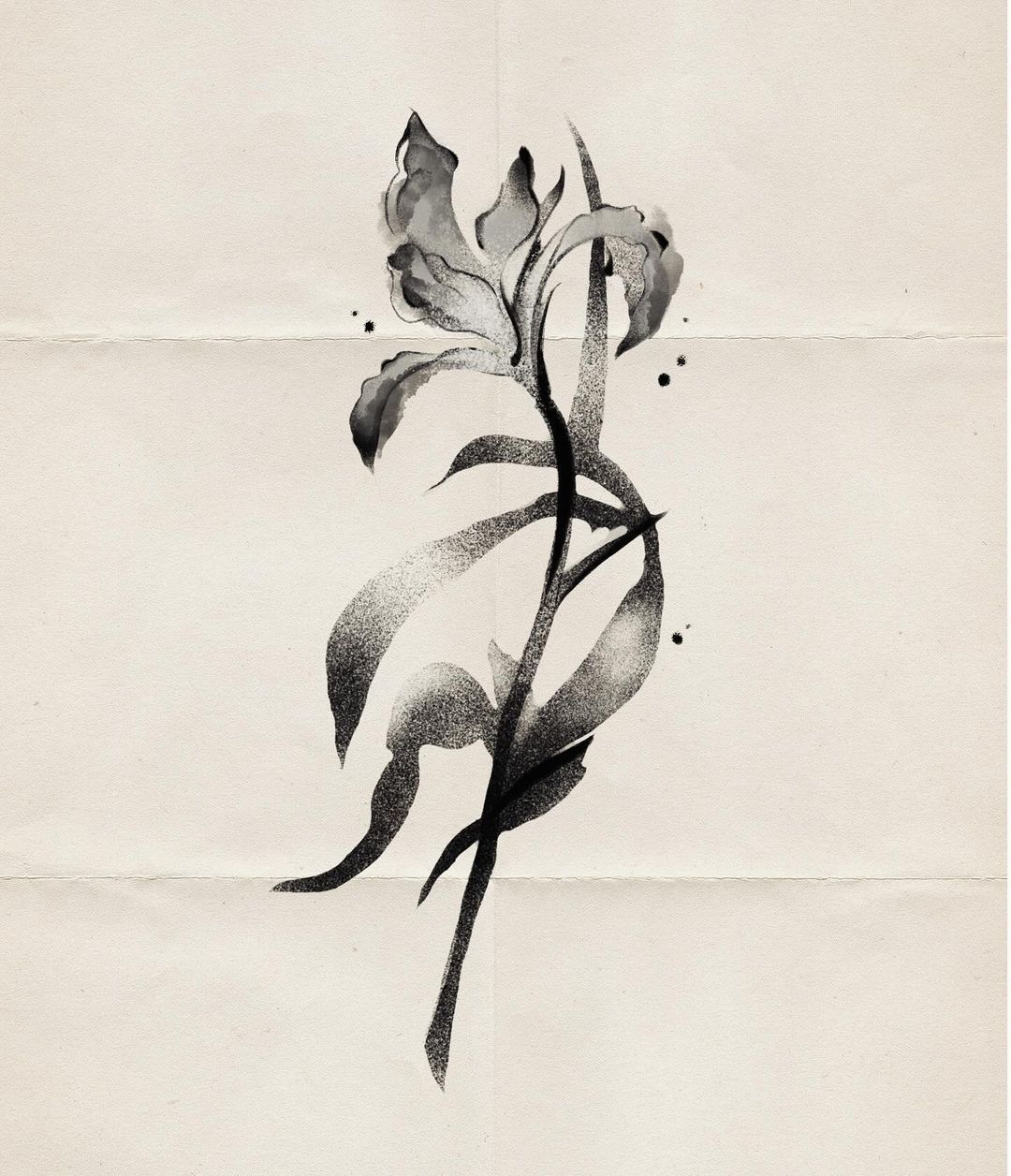 Portfolio de Emily Fulton