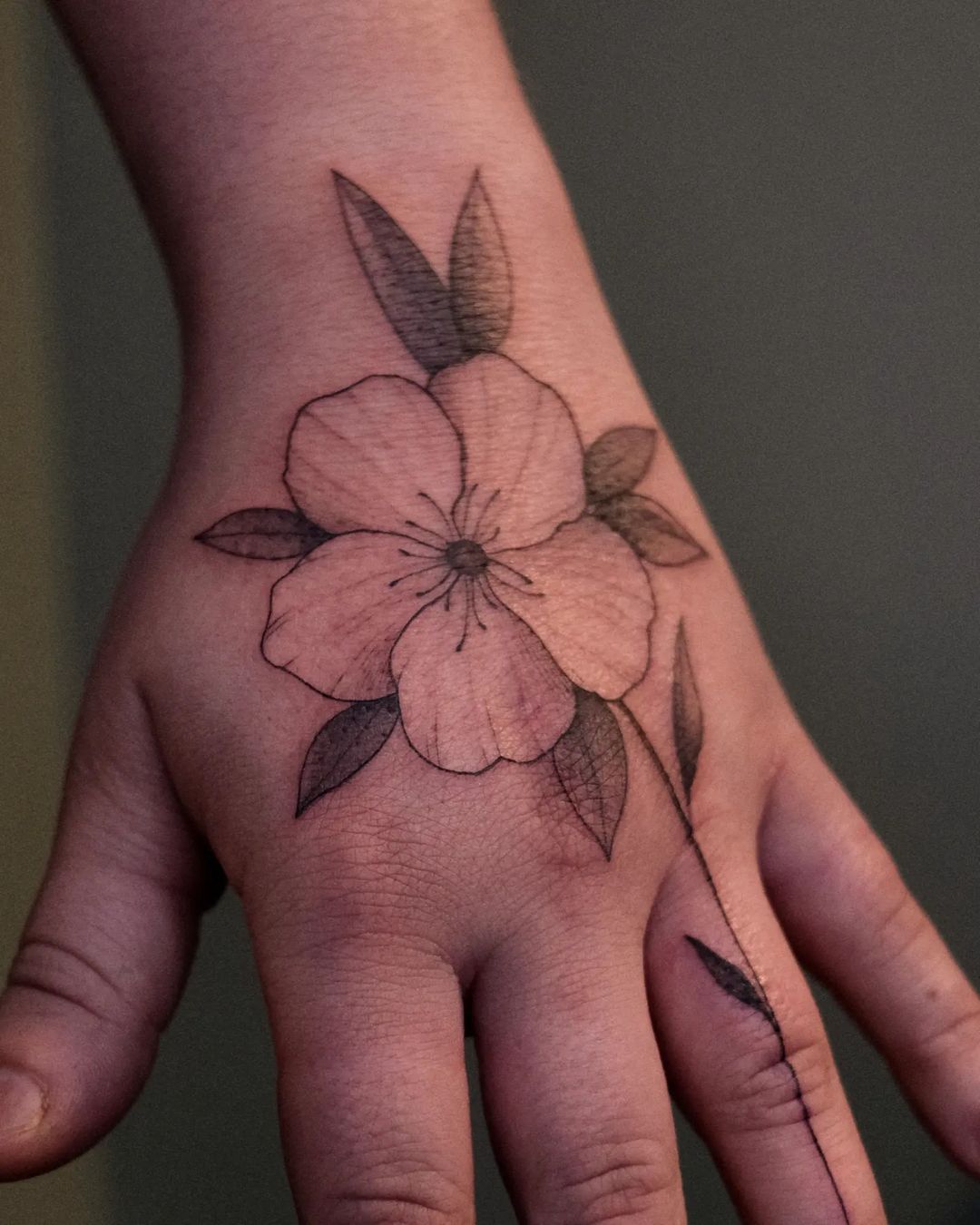 Portfolio de La Petite Encre Liz