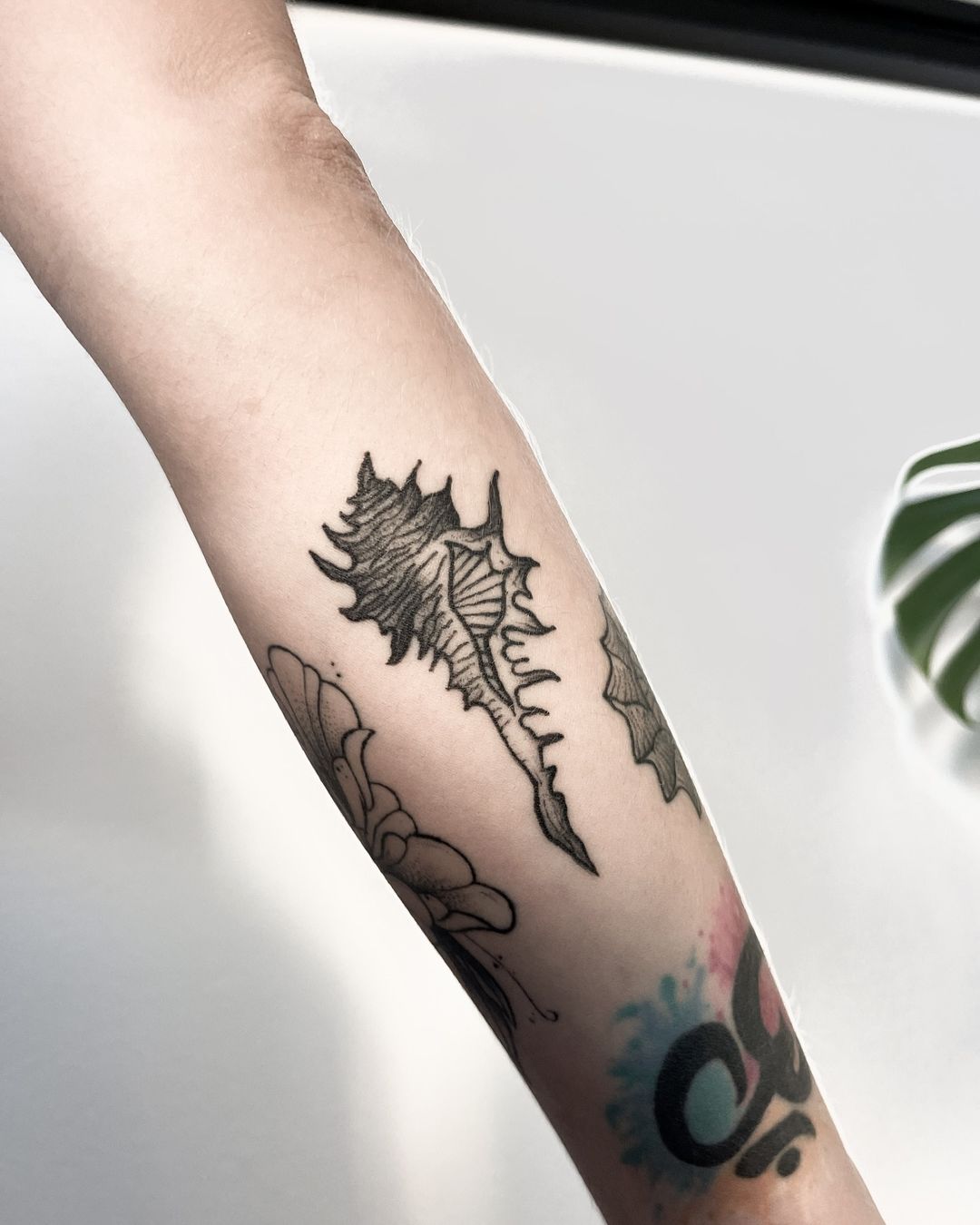 Portfolio de Elisa Ripamonti Tattoo