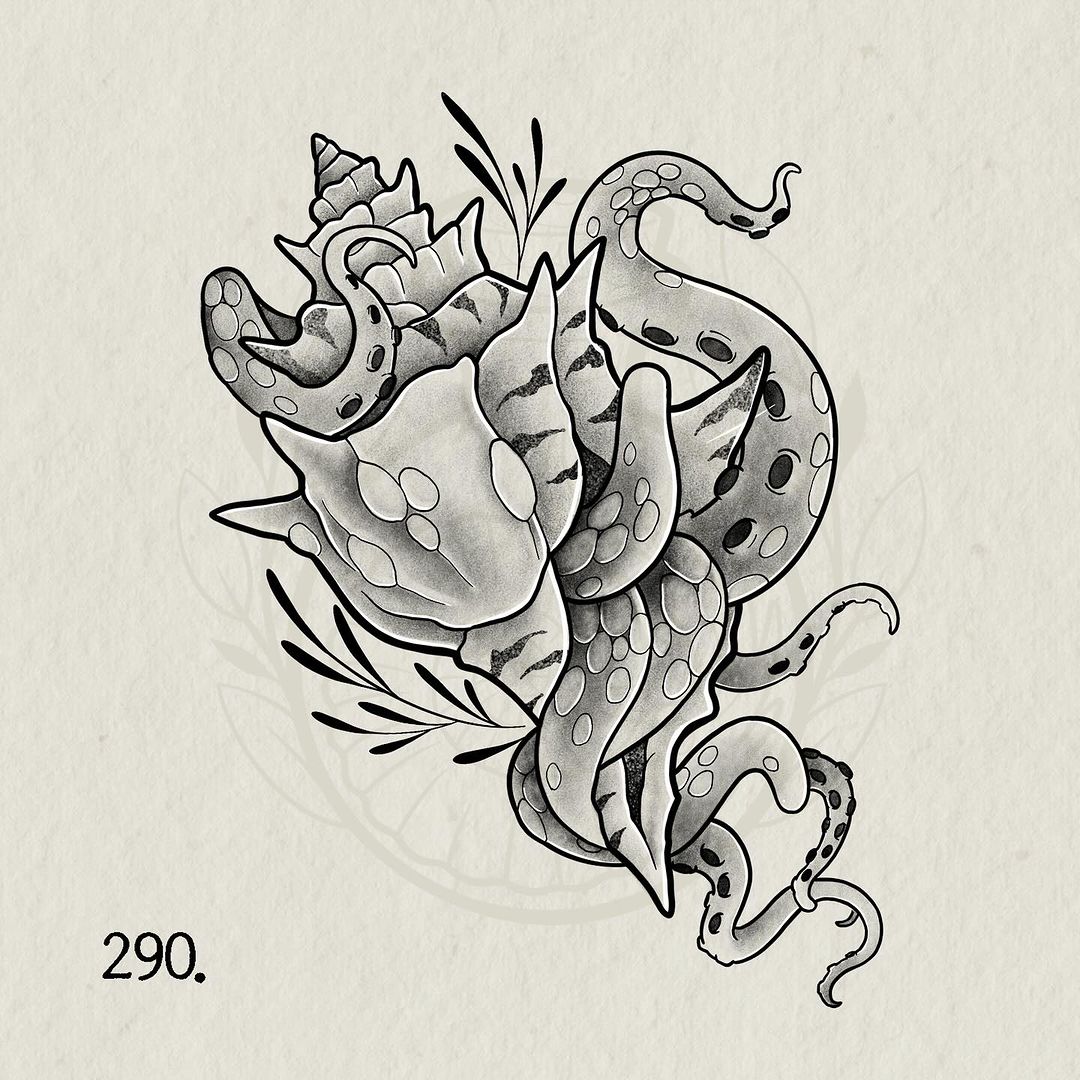 Portfolio de Nautiloo