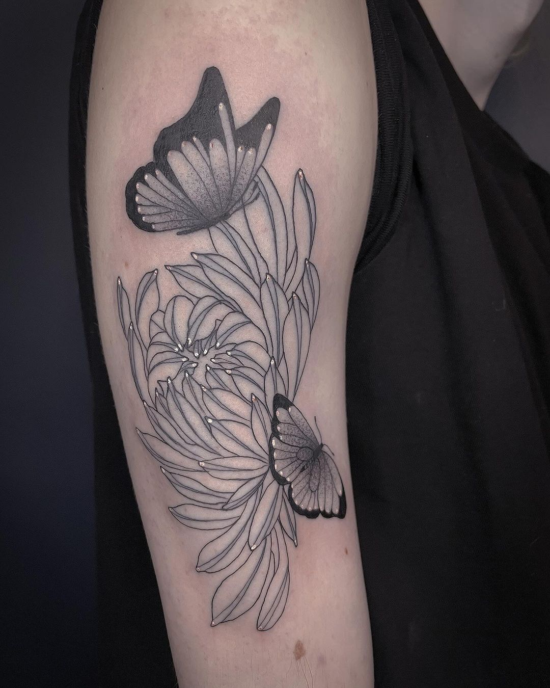 Portfolio de Petalink
