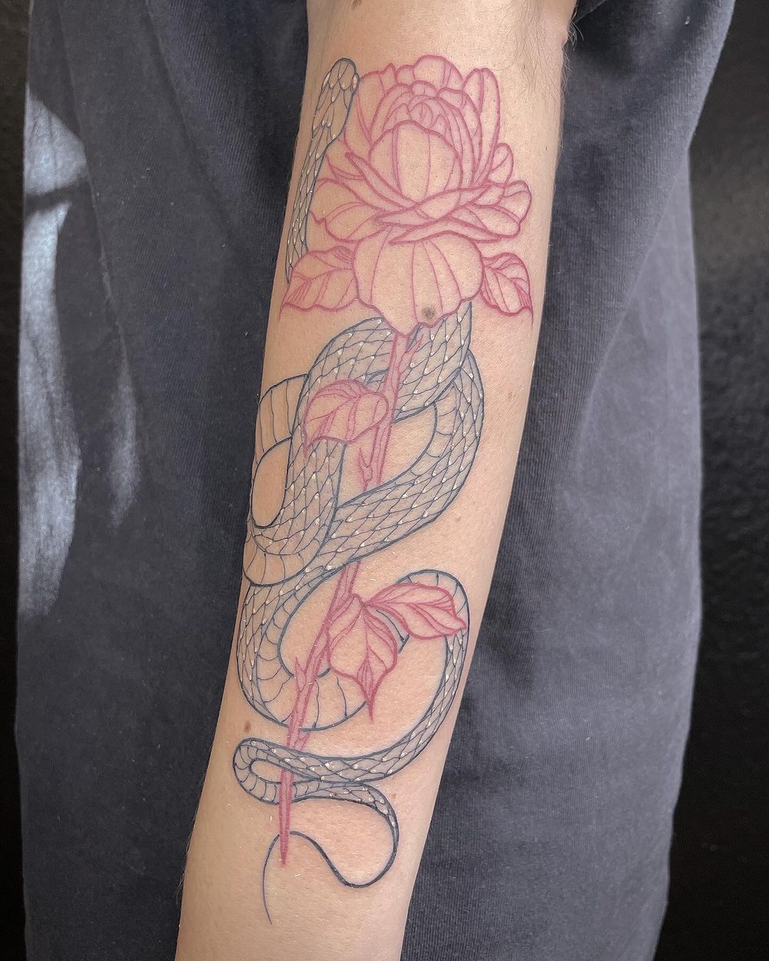 Travail de Petalink