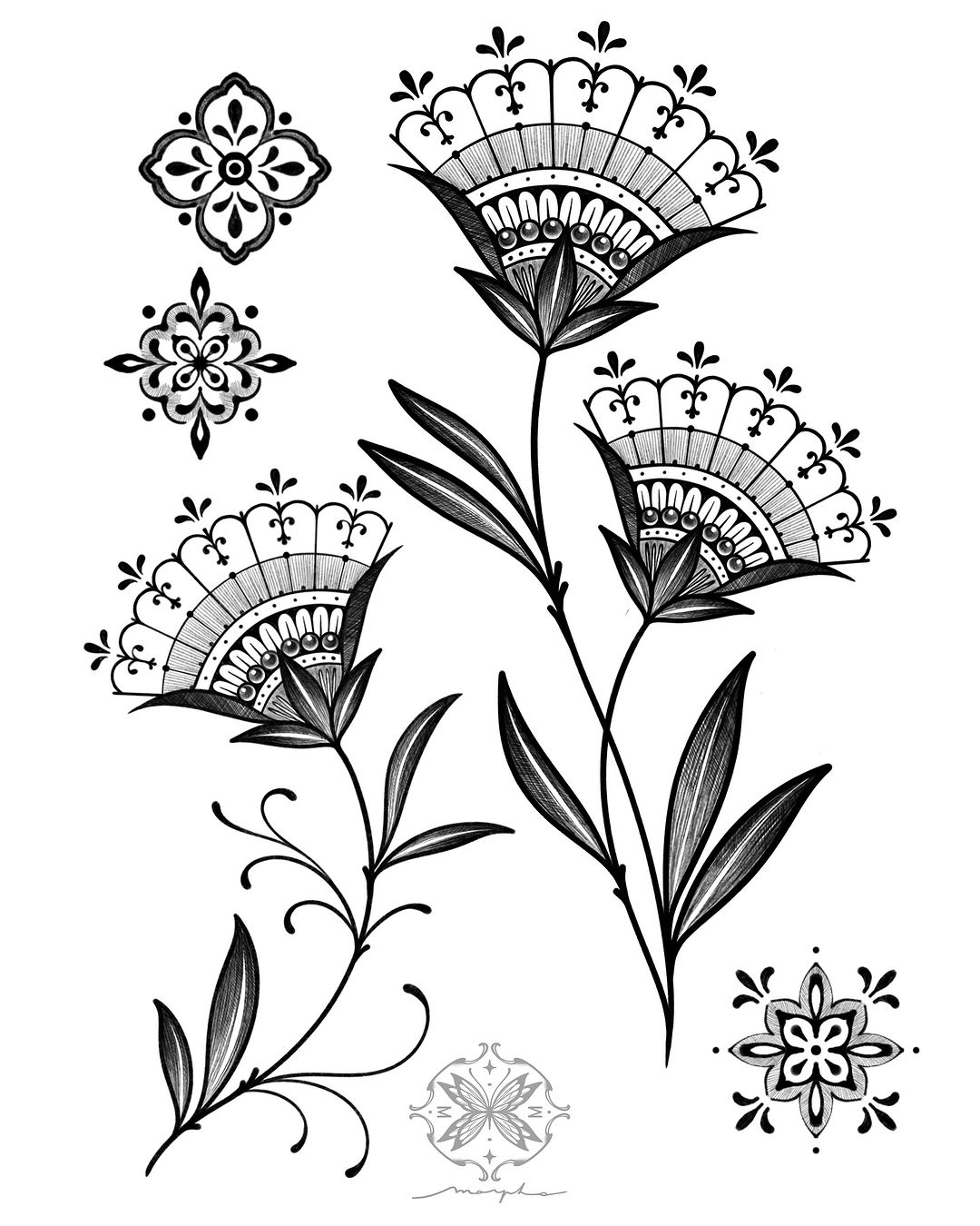 Portfolio de Morpho