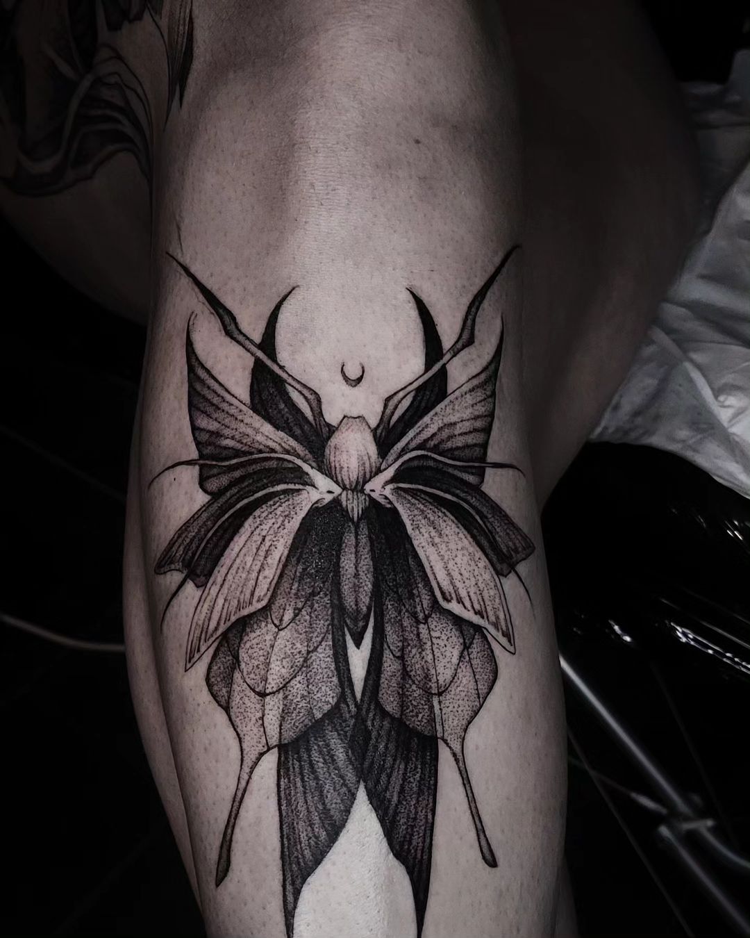 Portfolio de Milena Freehand Blackwork Artist