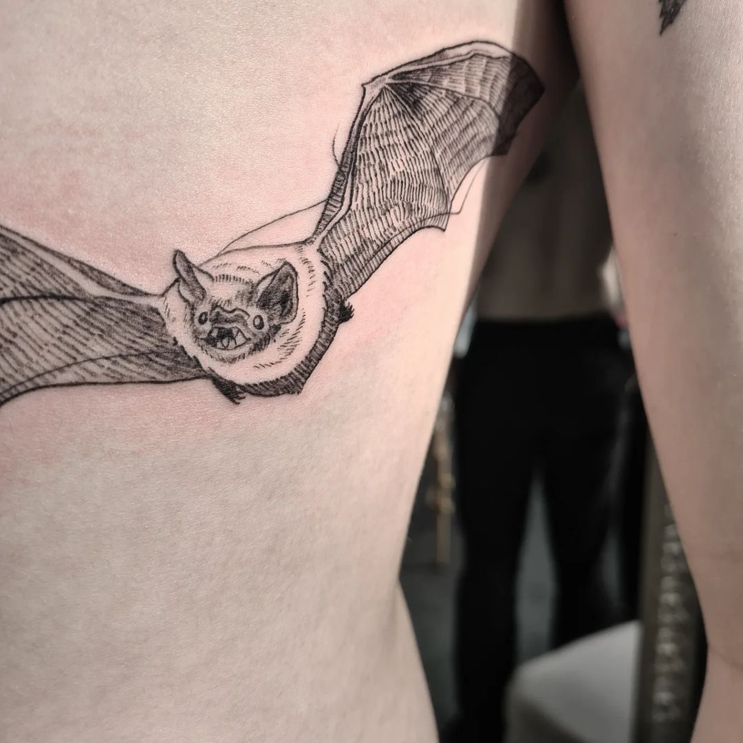Portfolio de Fiona Spim