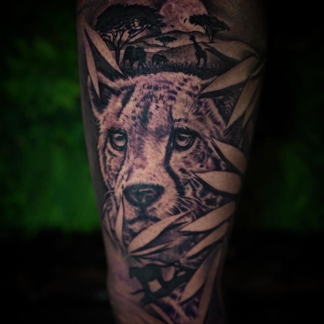 Portfolio de Erick Satchell II