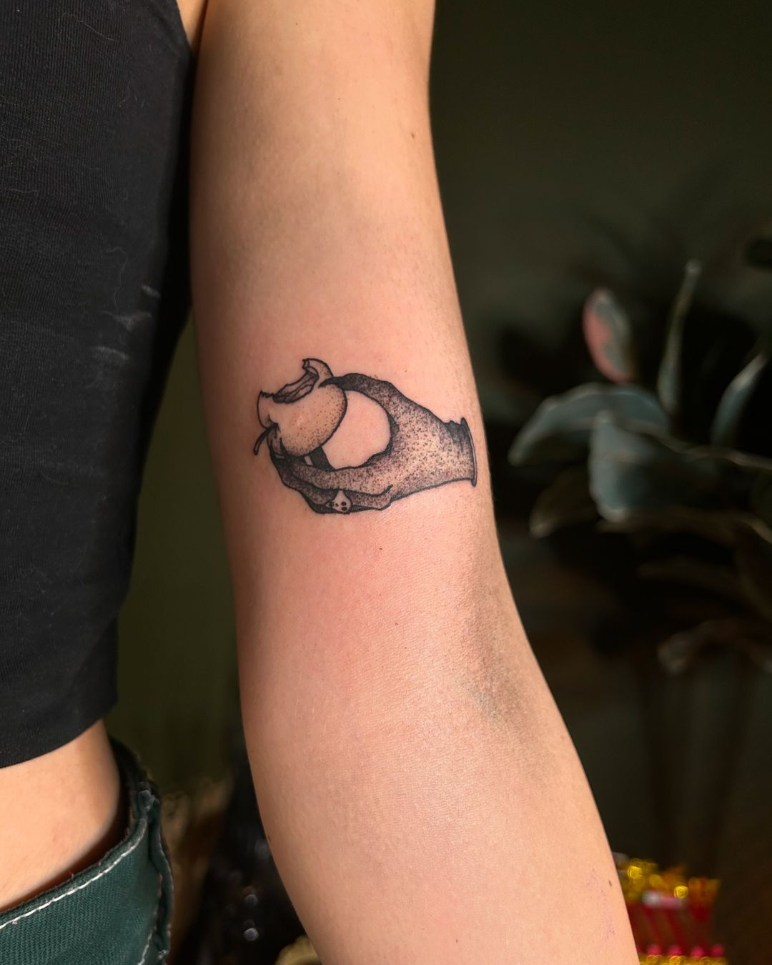 Portfolio de Momonoke