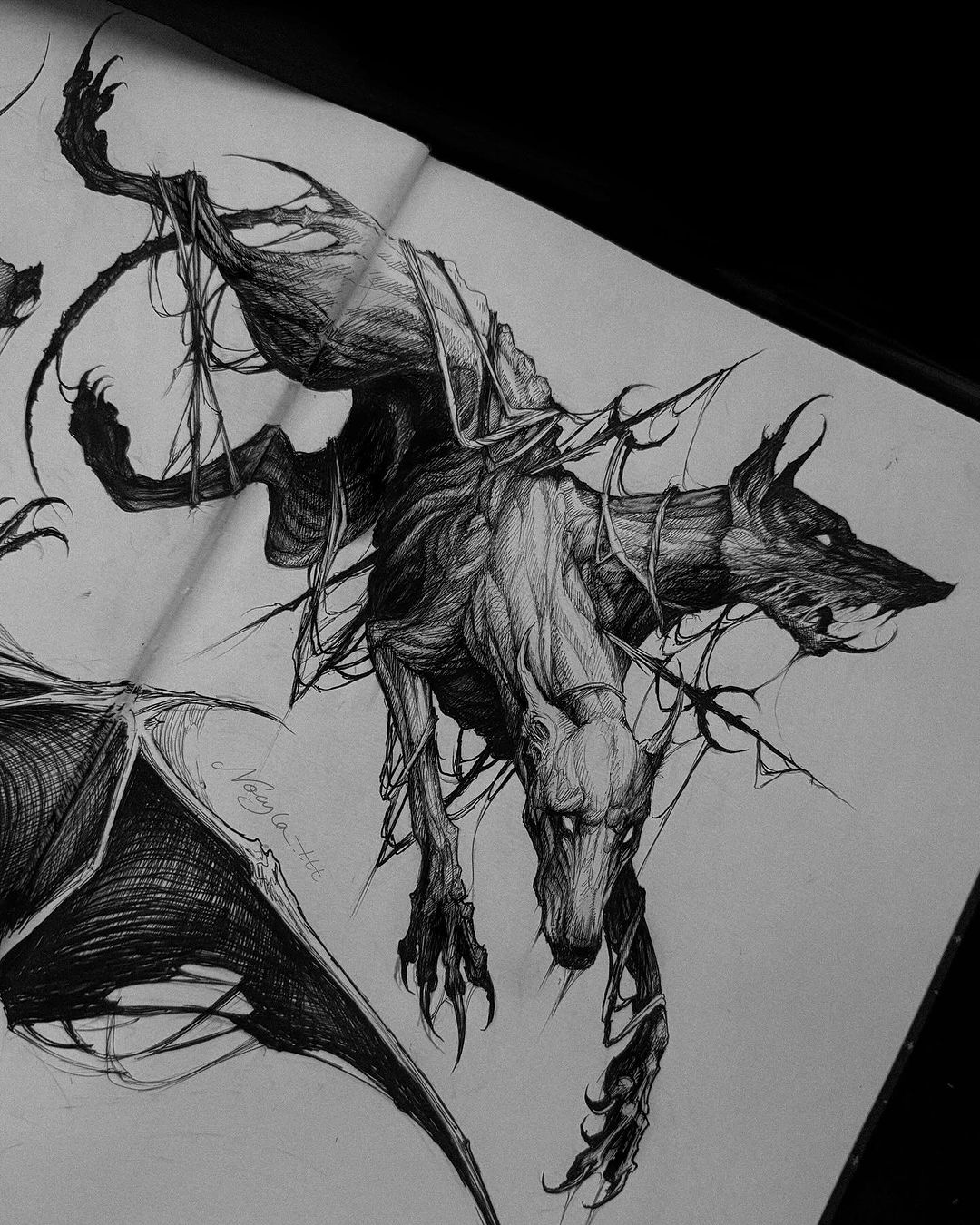 Portfolio de Nocyla 𐕣 Alison