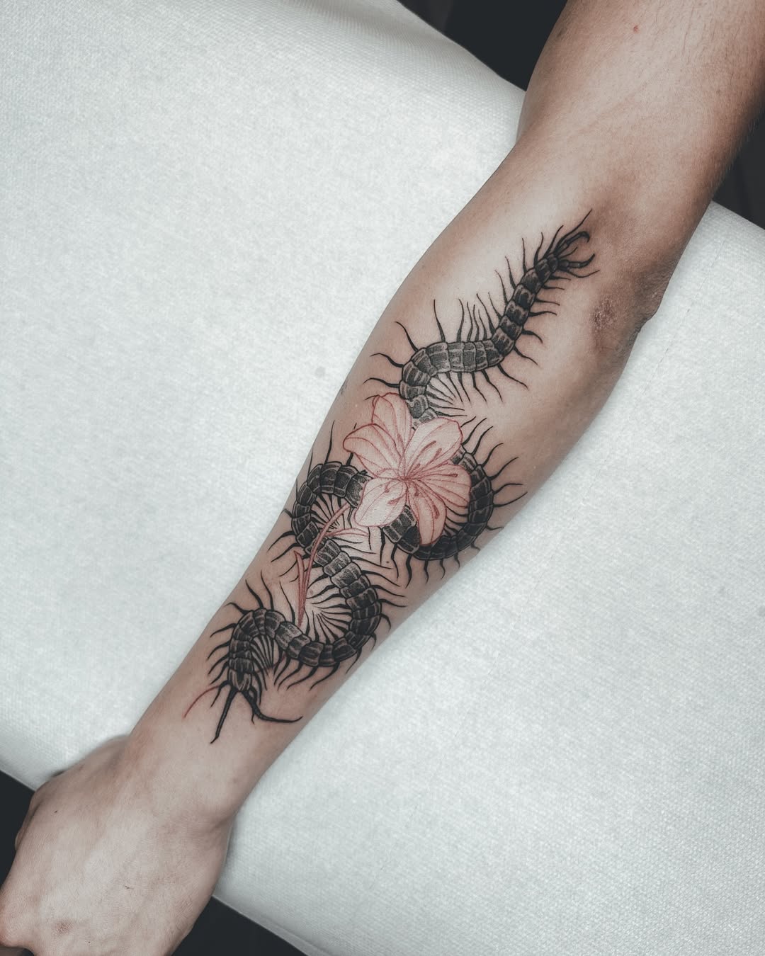 Tatouage par Alban Halimi Tattoo Artist