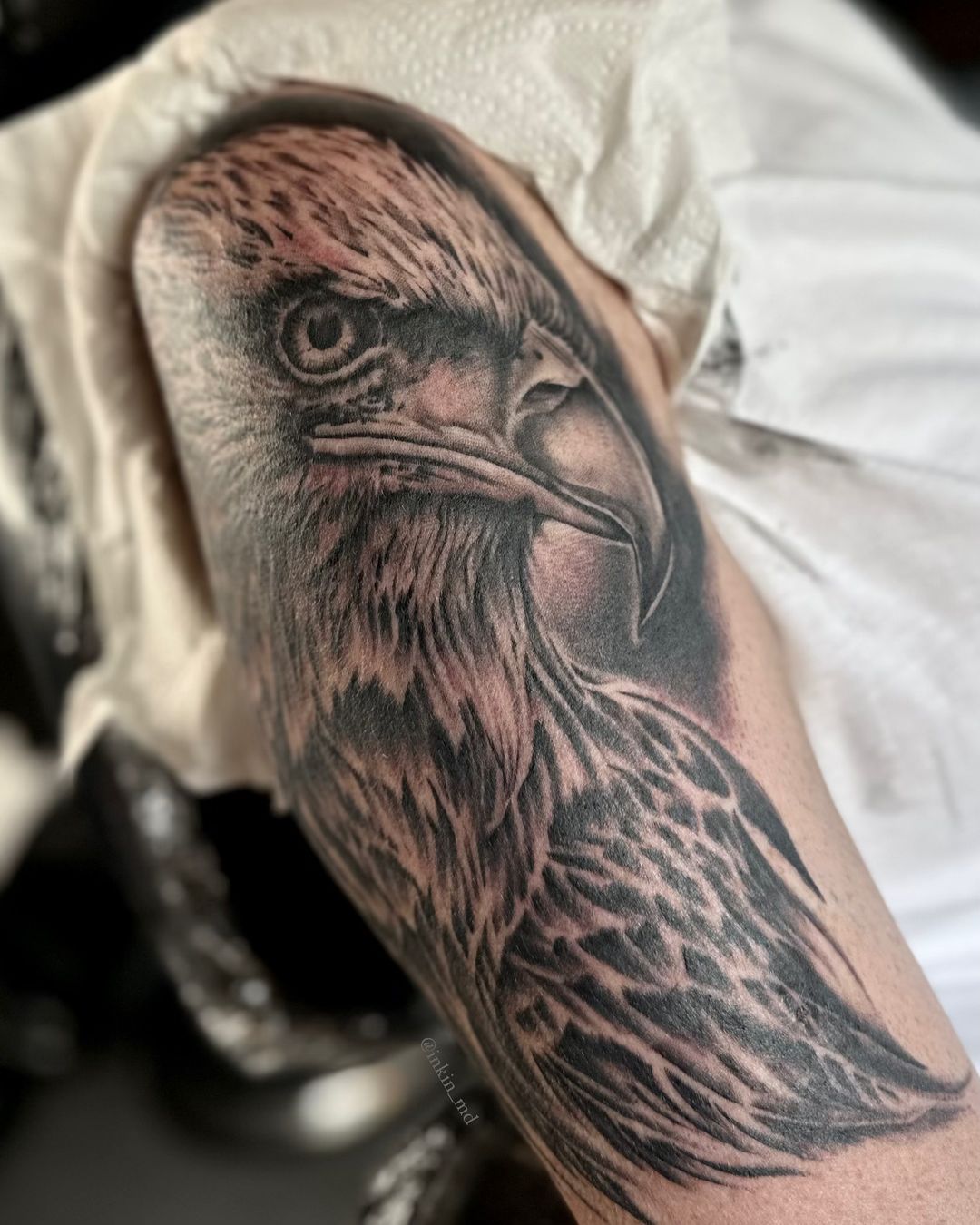 Portfolio de Mike Dowdall