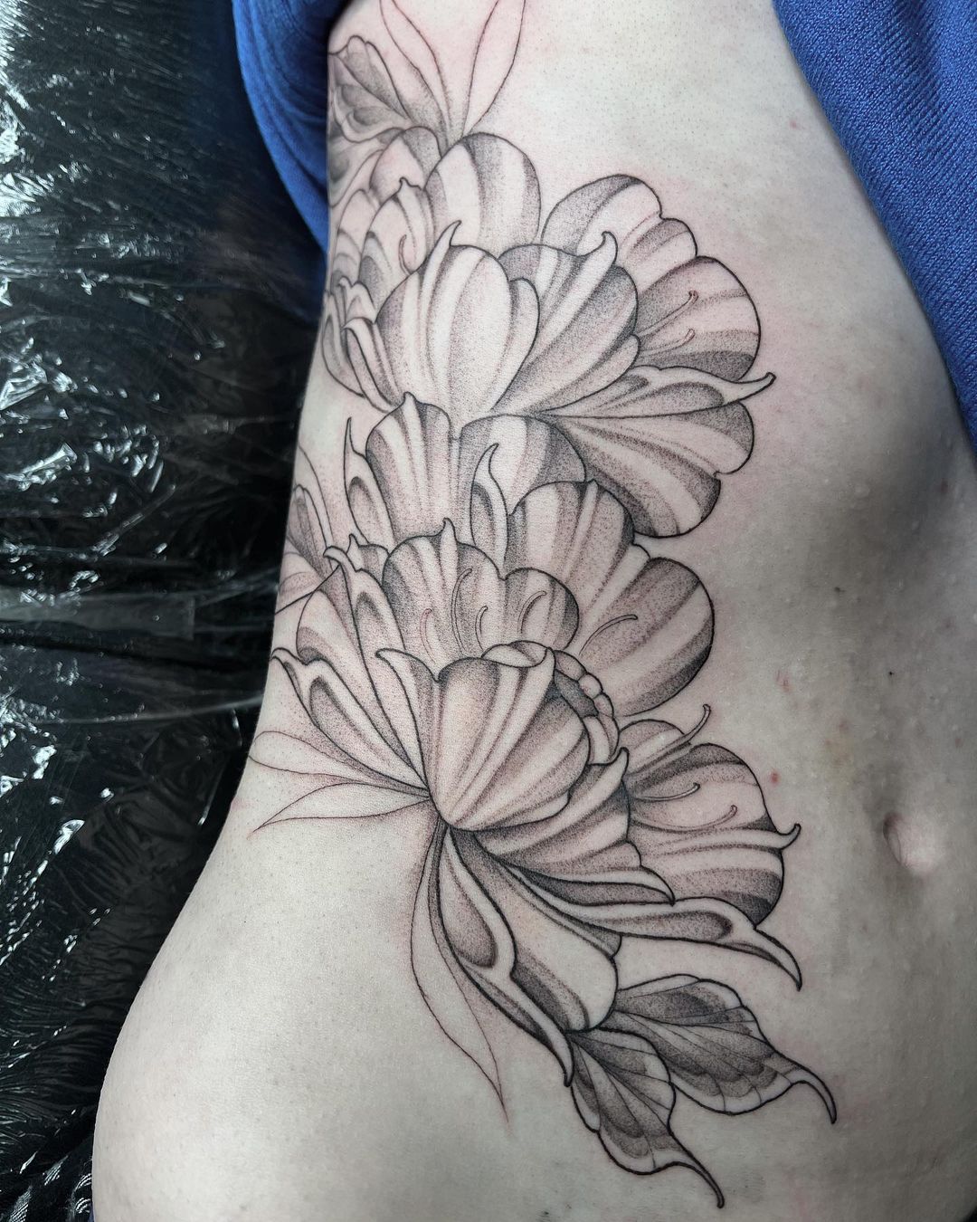 Portfolio de Imogen