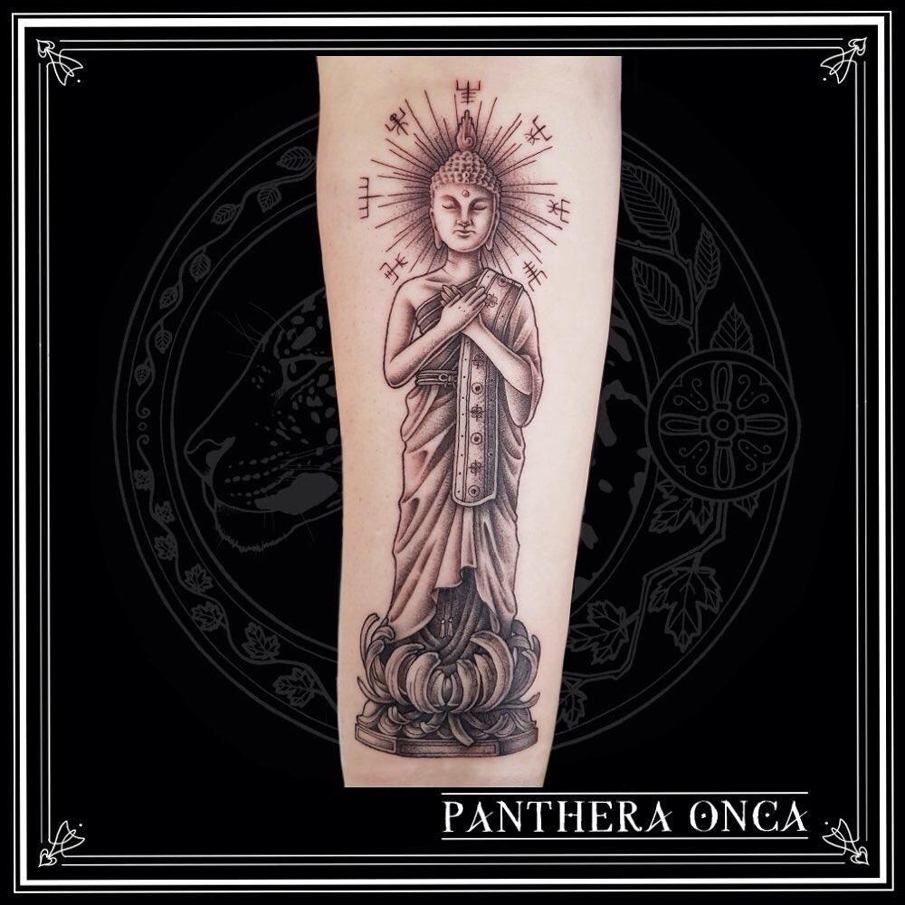 Portfolio de Panthera Onca