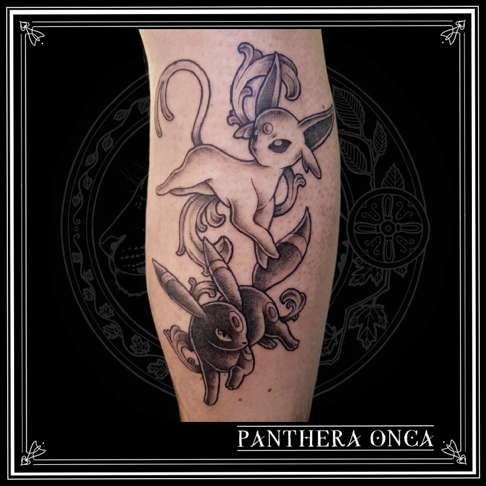 Portfolio de Panthera Onca