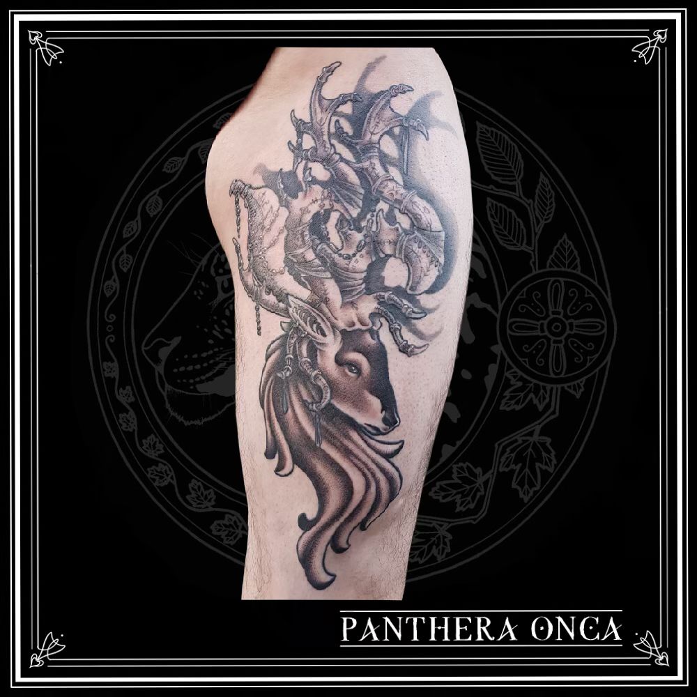 Portfolio de Panthera Onca