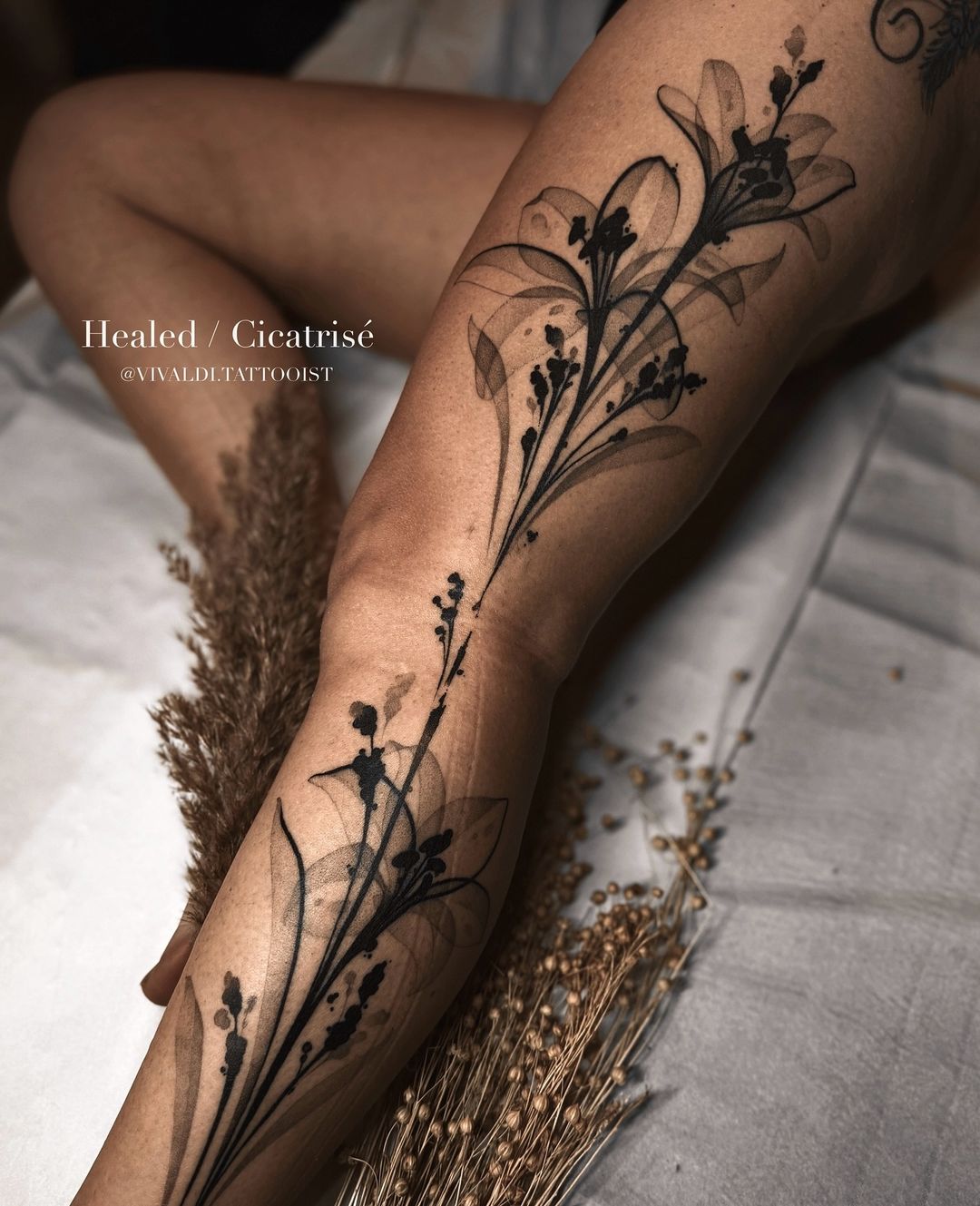 Portfolio de Vivaldi Océane Converset X-Ray Floral