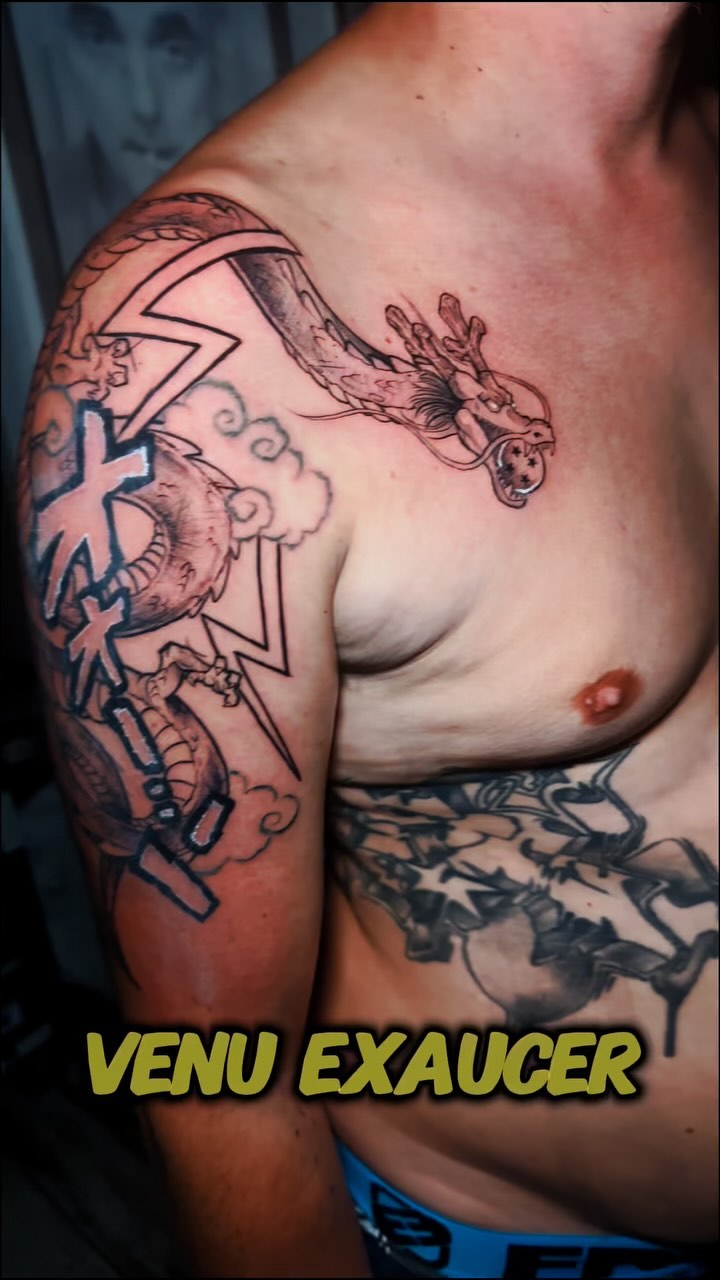 Portfolio de ZOAVE TATT