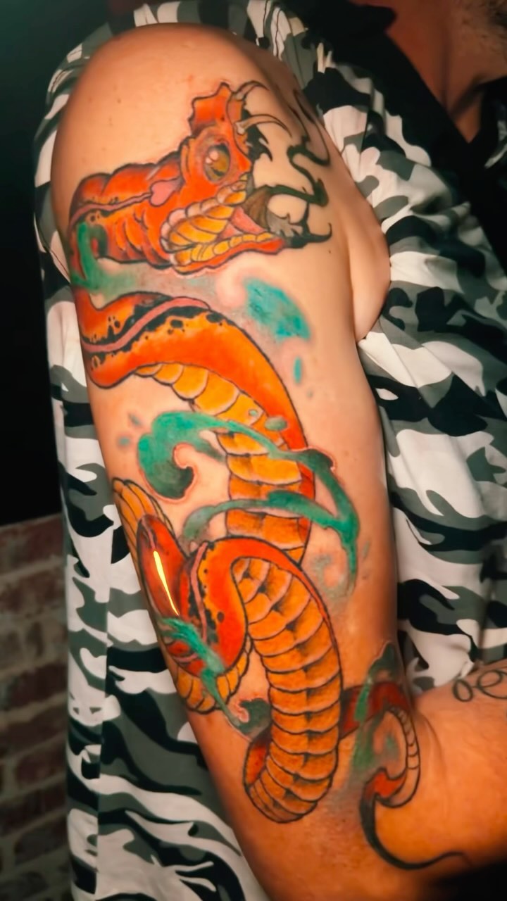Portfolio de ZOAVE TATT