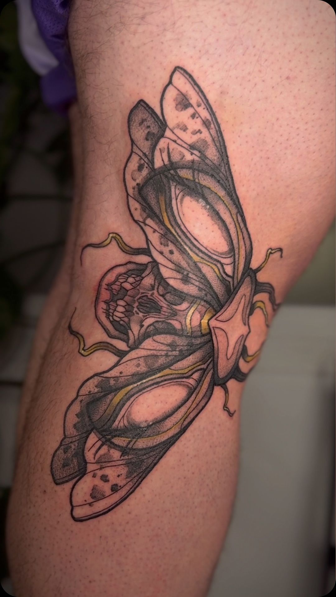Portfolio de Camelien Neotradtattoo